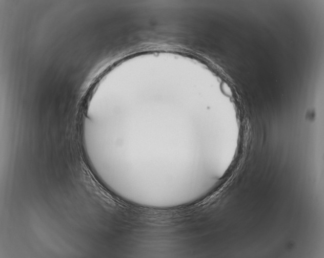 X0000114611215200912010929