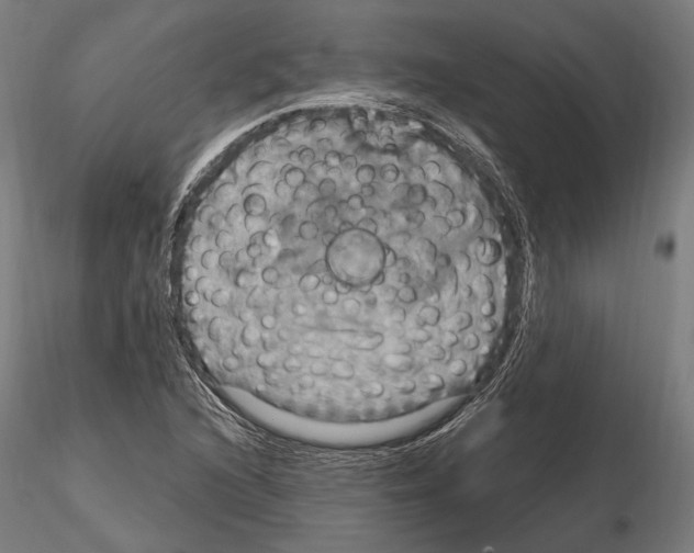 X0000114611216200912010929