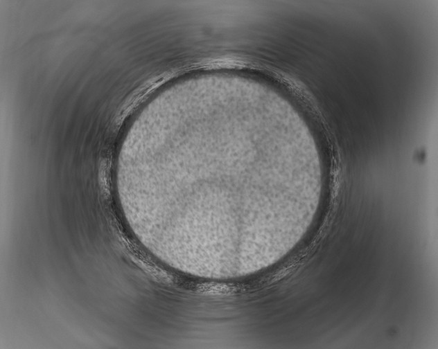 X0000114611217200912010929