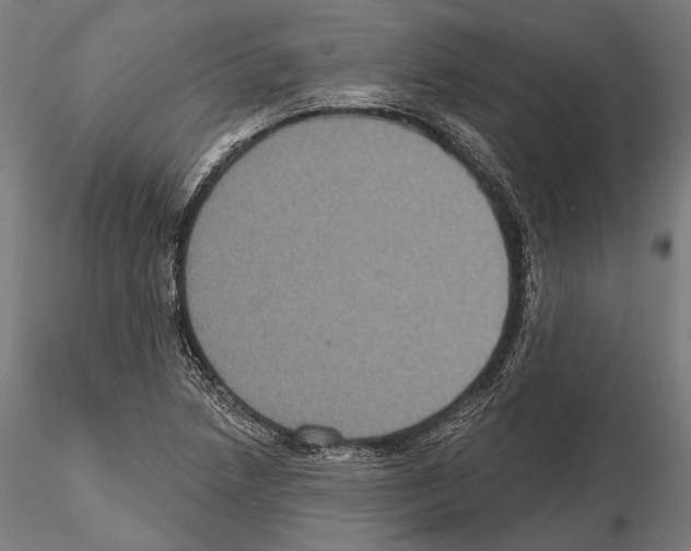 X0000114611218200912010929