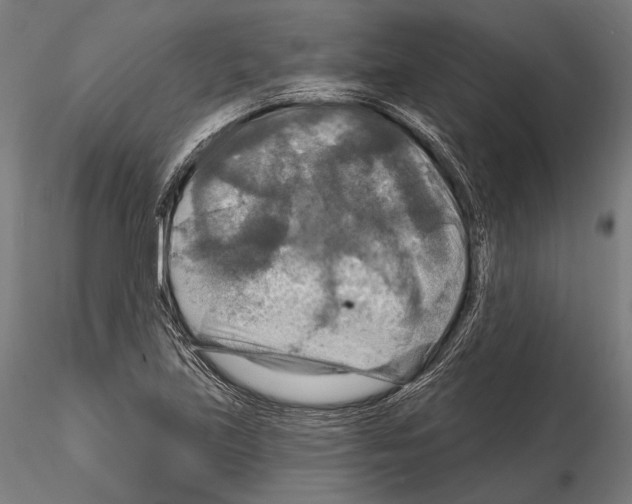 X0000114611219200912010929