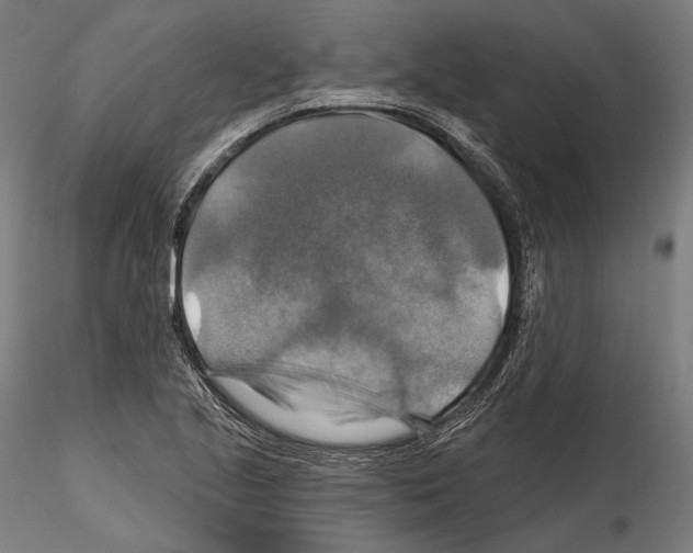 X0000114611221200912010929