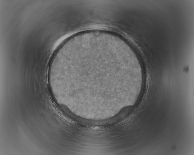 X0000114611222200912010929