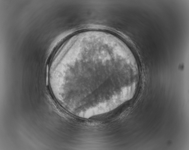 X0000114611223200912010929