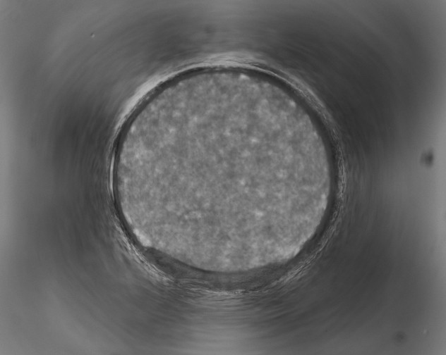 X0000114611224200912010929