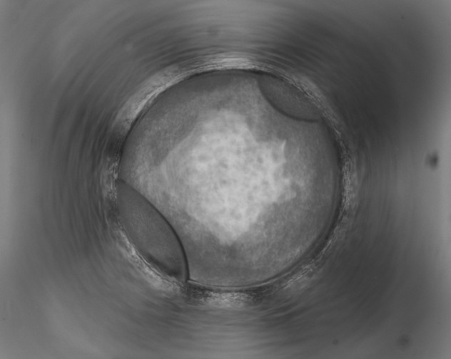 X0000114611225200912010929