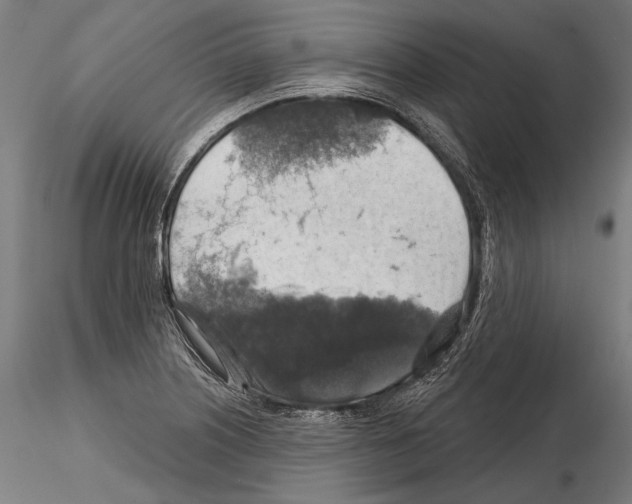 X0000114611226200912010929