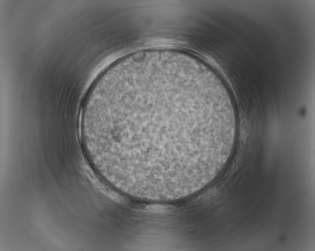 X0000114611227200912010929