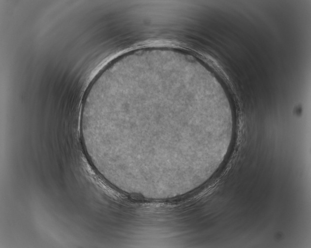 X0000114611228200912010929