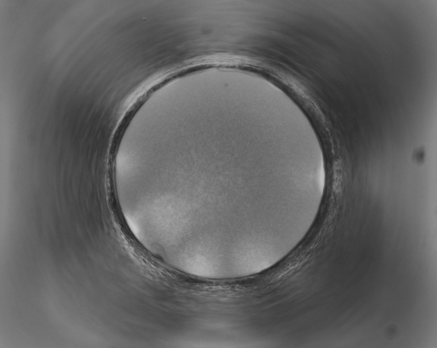 X0000114611229200912010929