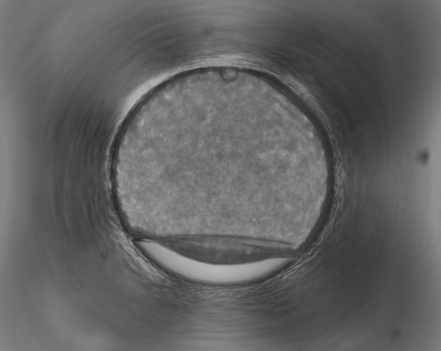 X0000114611230200912010929