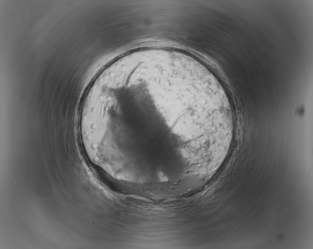 X0000114611231200912010929