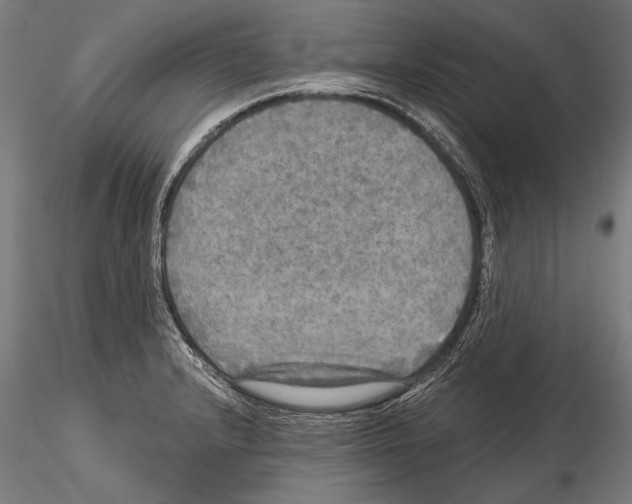 X0000114611232200912010929