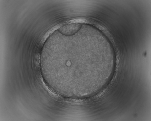 X0000114611233200912010929