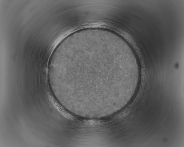 X0000114611234200912010929