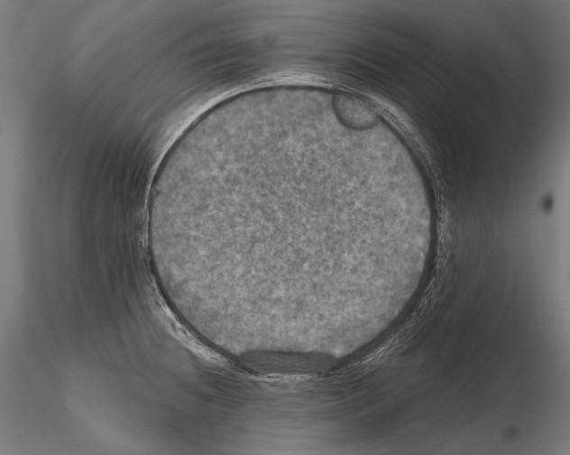 X0000114611236200912010929