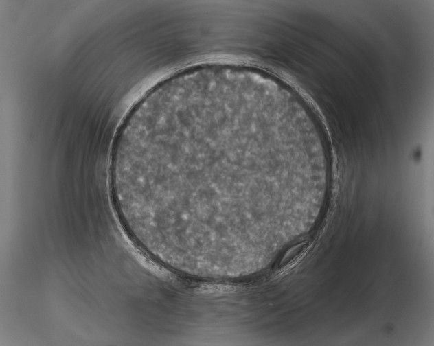 X0000114611237200912010929