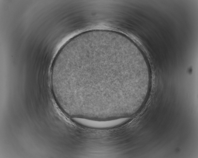 X0000114611238200912010929