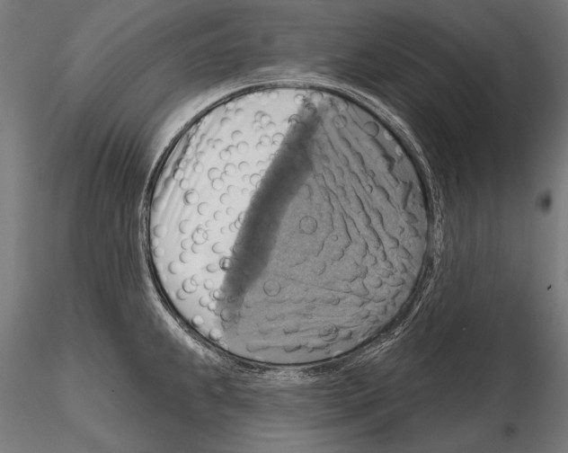 X0000114611239200912010929