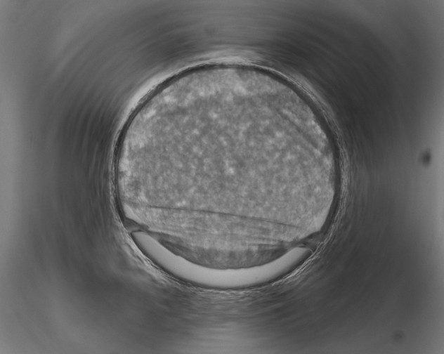 X0000114611240200912010930