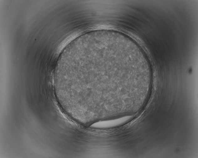 X0000114611241200912010930