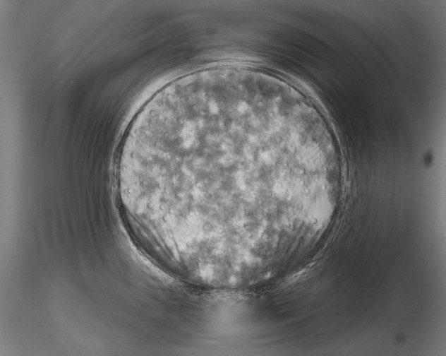 X0000114611243200912010930