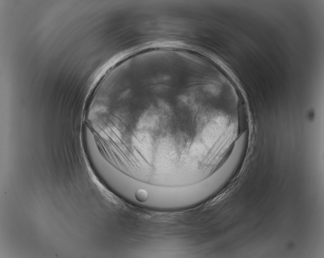 X0000114611245200912010930