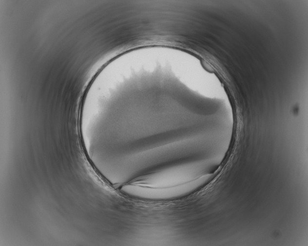 X0000114611246200912010930