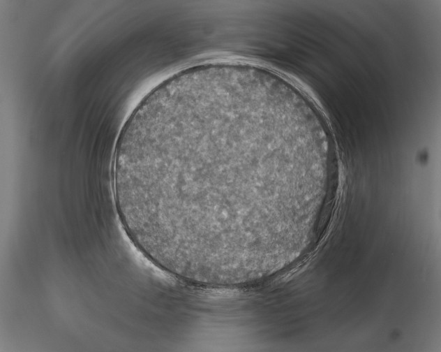 X0000114611247200912010930