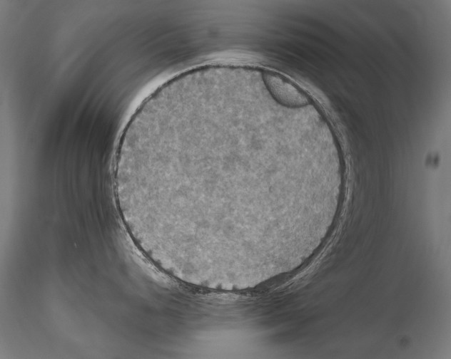 X0000114611248200912010930