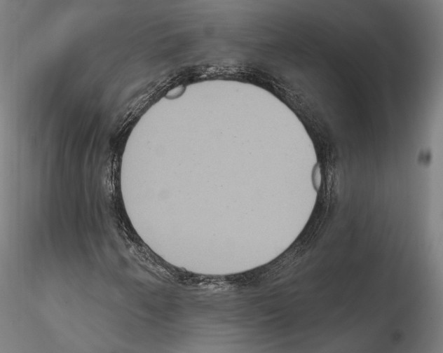 X0000114611250200912010929