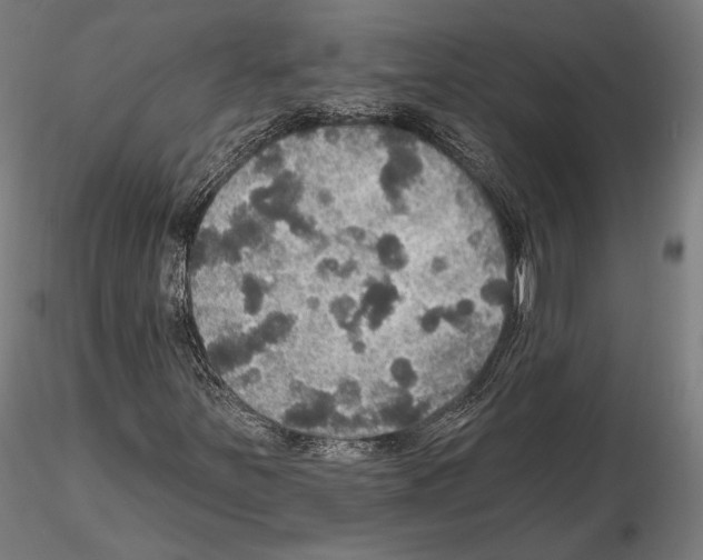 X0000114611251200912010929