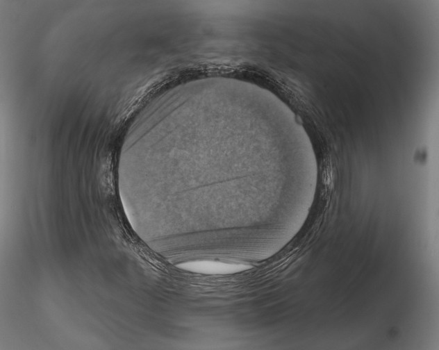 X0000114611252200912010929