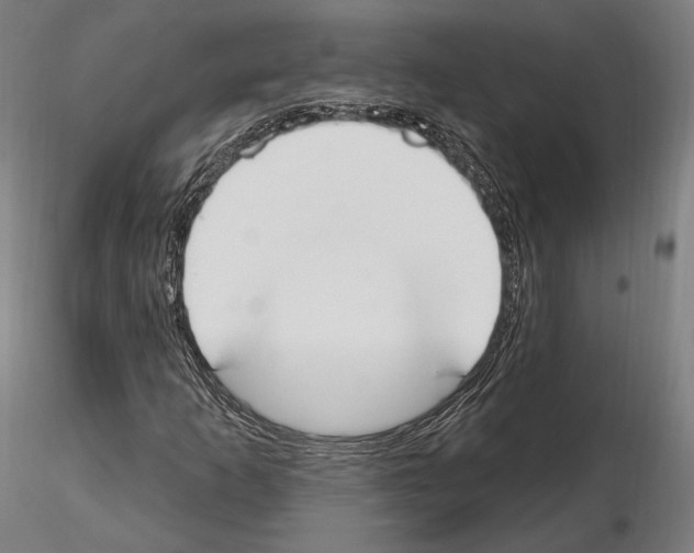 X0000114611253200912010929