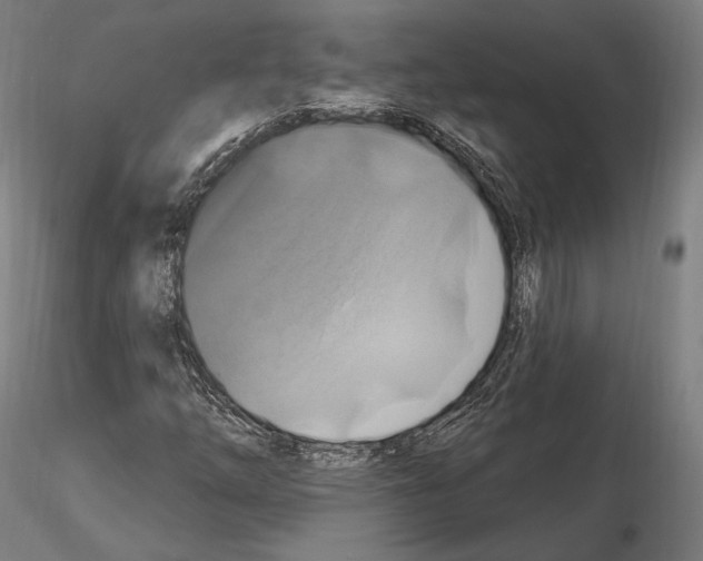 X0000114611254200912010929