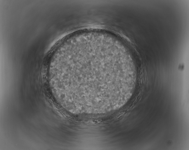 X0000114611255200912010929