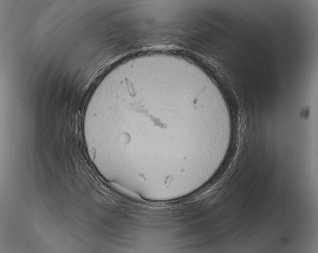 X0000114611257200912010929