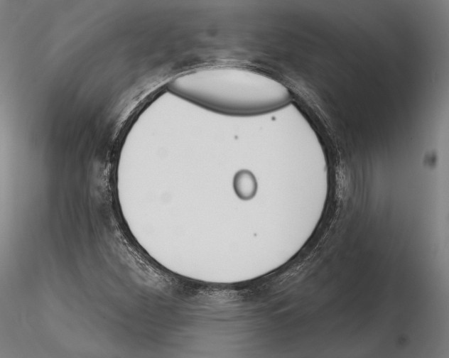 X0000114611260200912010929