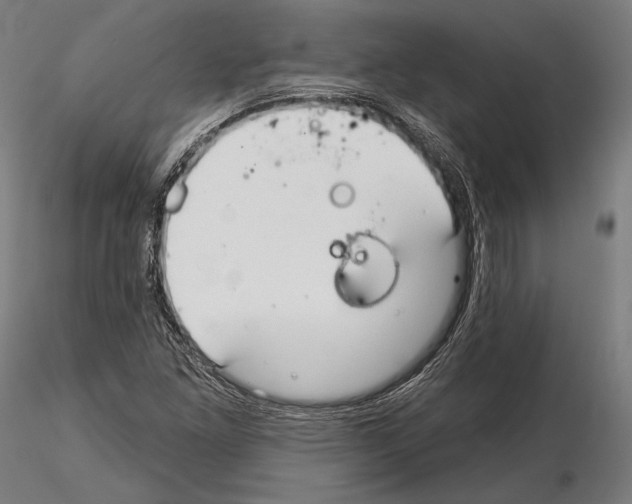 X0000114611261200912010929