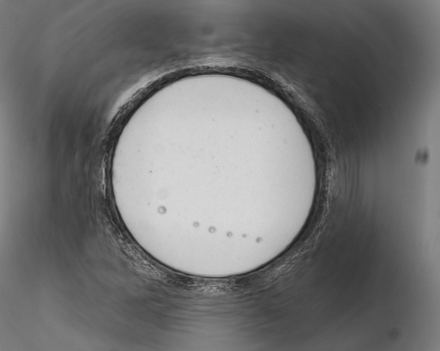 X0000114611262200912010929