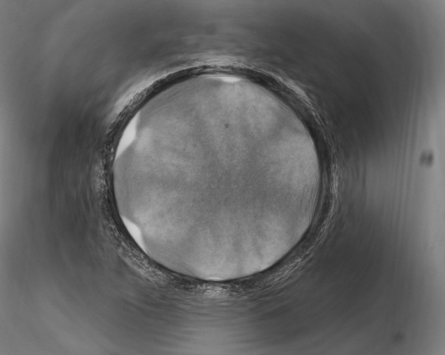 X0000114611263200912010929