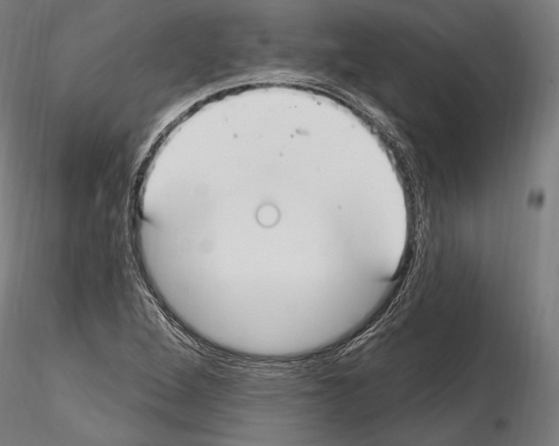 X0000114611264200912010929