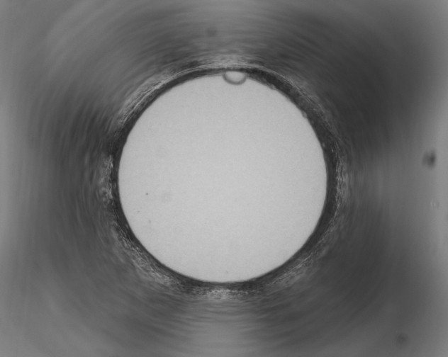 X0000114611265200912010929