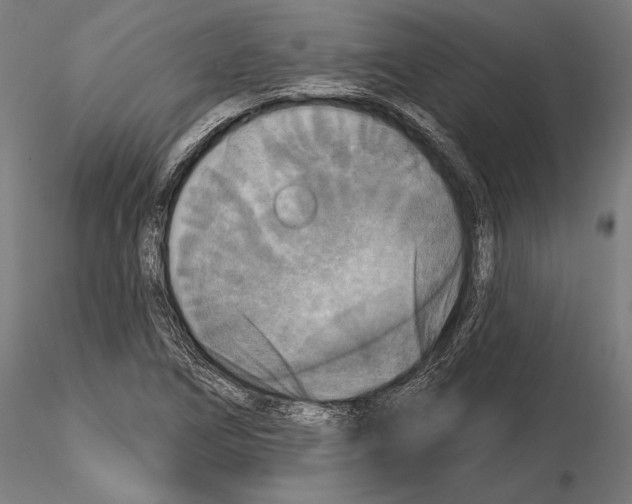 X0000114611266200912010929