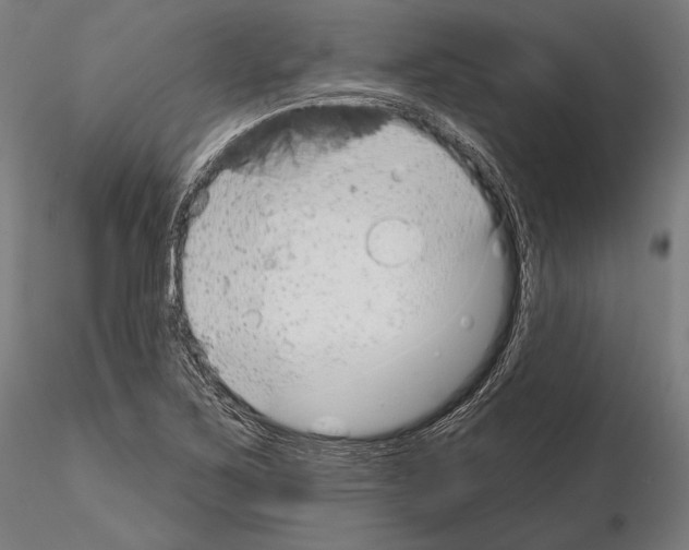 X0000114611267200912010929