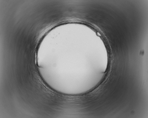 X0000114611269200912010929