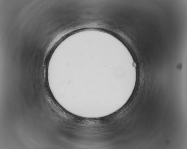 X0000114611270200912010929