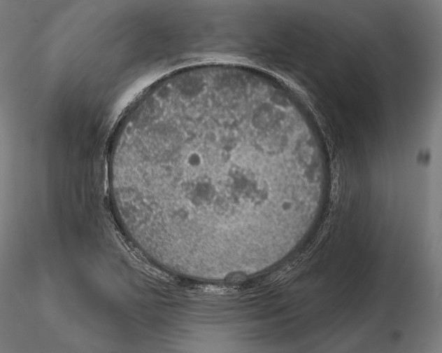 X0000114611271200912010929