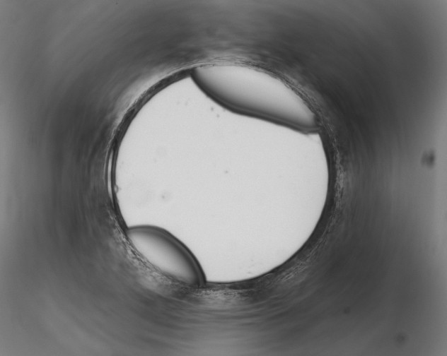 X0000114611272200912010929