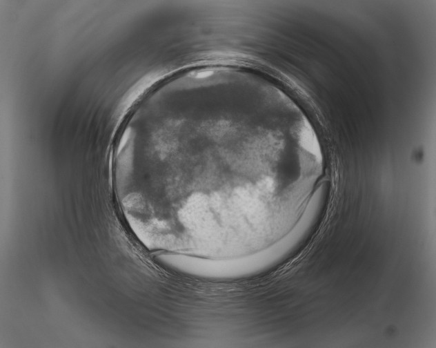 X0000114611275200912010929